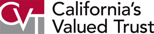 CVT Logo